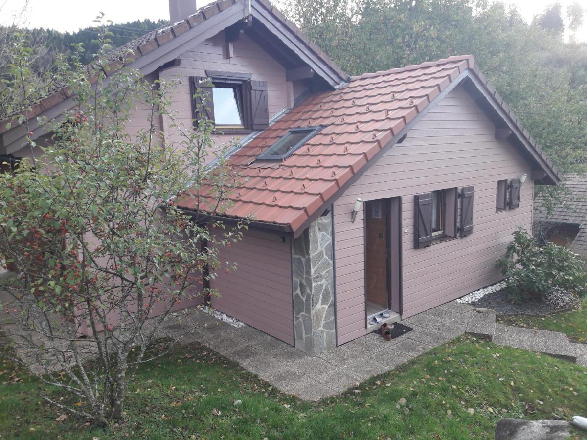 Chalet Les Sapins Argentes Gérardmer Zewnętrze zdjęcie