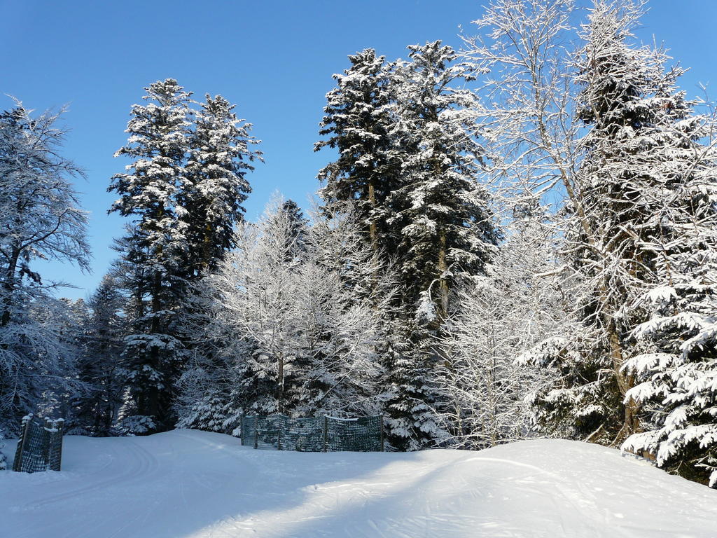 Chalet Les Sapins Argentes Gérardmer Pokój zdjęcie