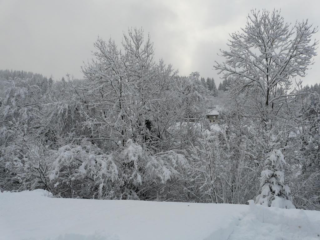 Chalet Les Sapins Argentes Gérardmer Zewnętrze zdjęcie