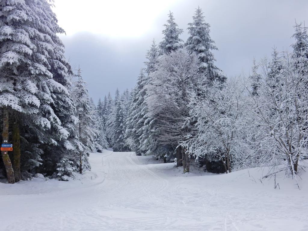 Chalet Les Sapins Argentes Gérardmer Zewnętrze zdjęcie