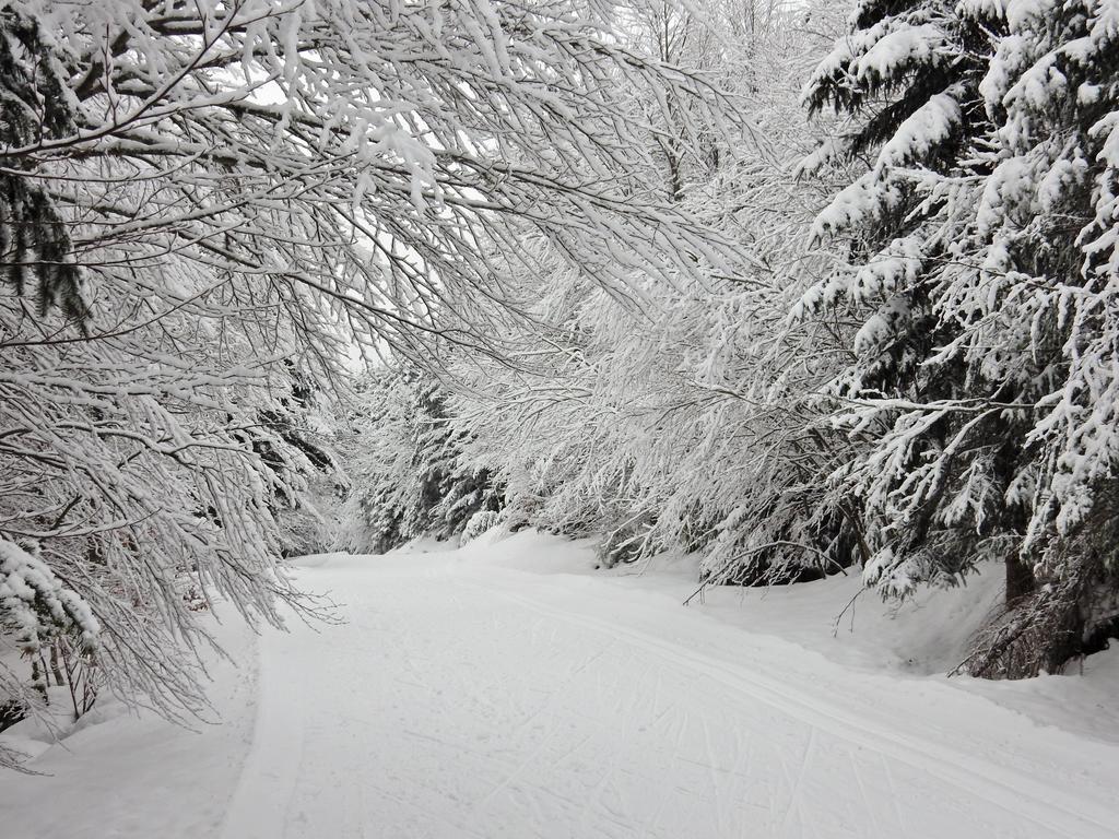 Chalet Les Sapins Argentes Gérardmer Zewnętrze zdjęcie