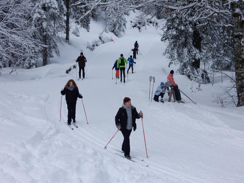 Chalet Les Sapins Argentes Gérardmer Zewnętrze zdjęcie