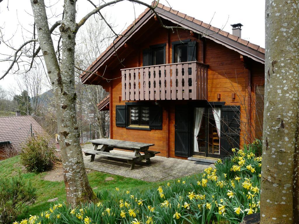 Chalet Les Sapins Argentes Gérardmer Zewnętrze zdjęcie