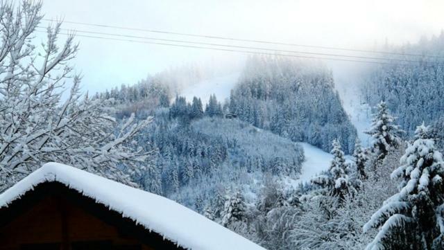 Chalet Les Sapins Argentes Gérardmer Zewnętrze zdjęcie